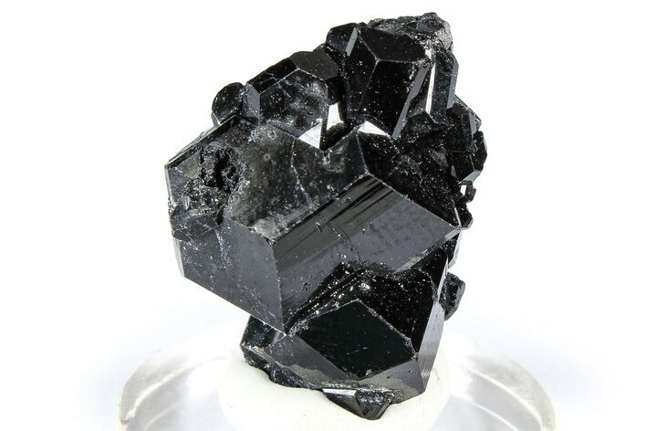 Lustrous Black Tourmaline (Schorl) Crystal Cluster - Namibia #361646